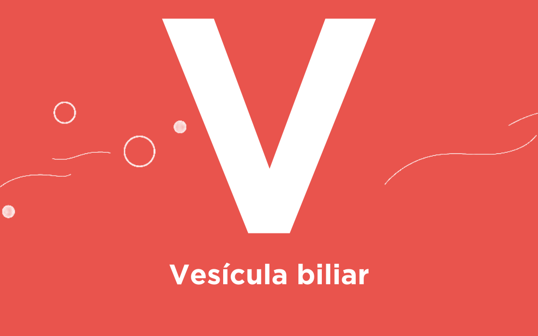 V de… Vesícula biliar